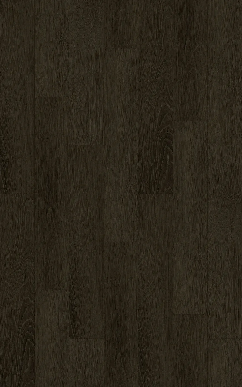 Chocolate Oak Straight