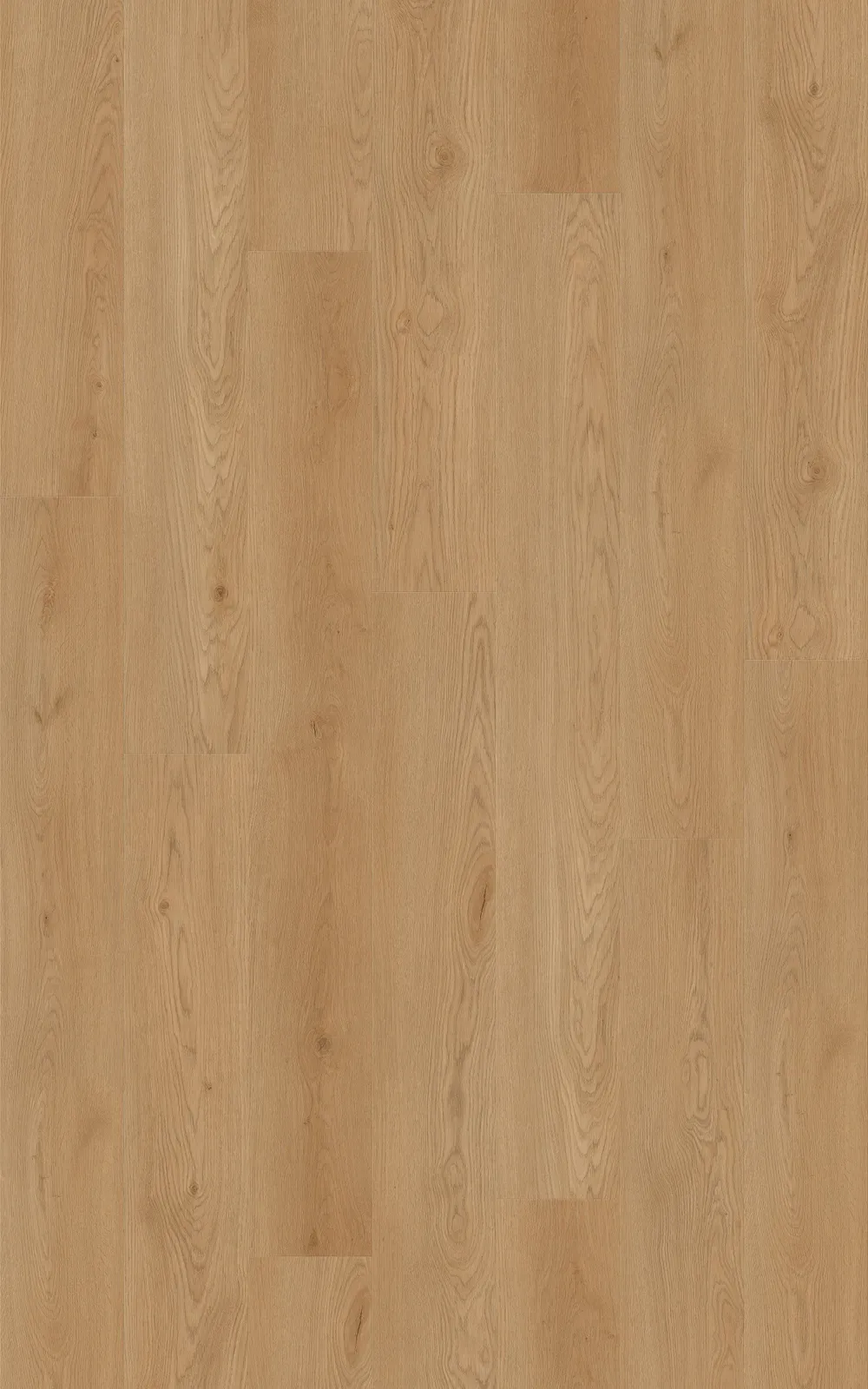 Grand Euro Oak Straight