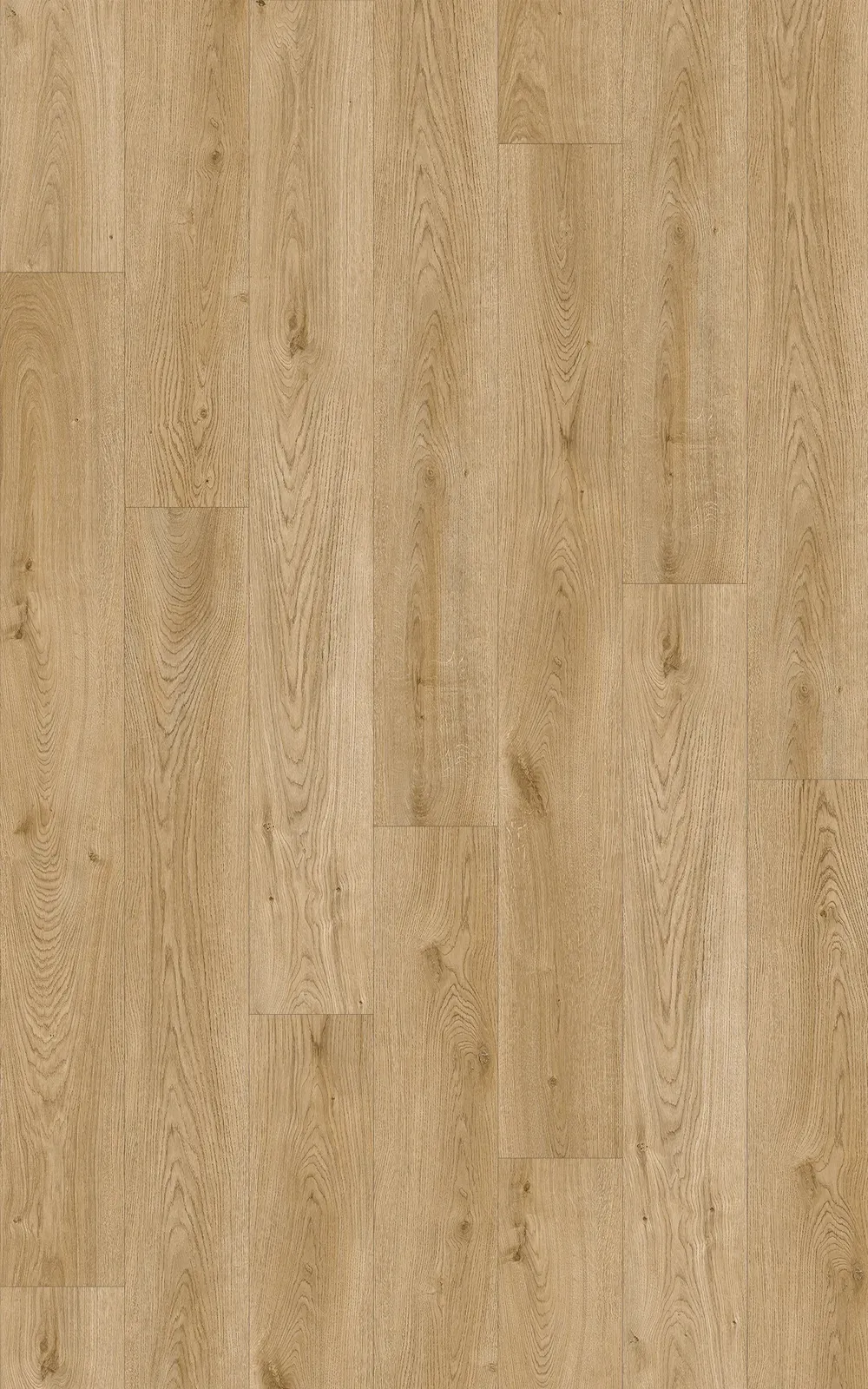 Provincial Oak Straight