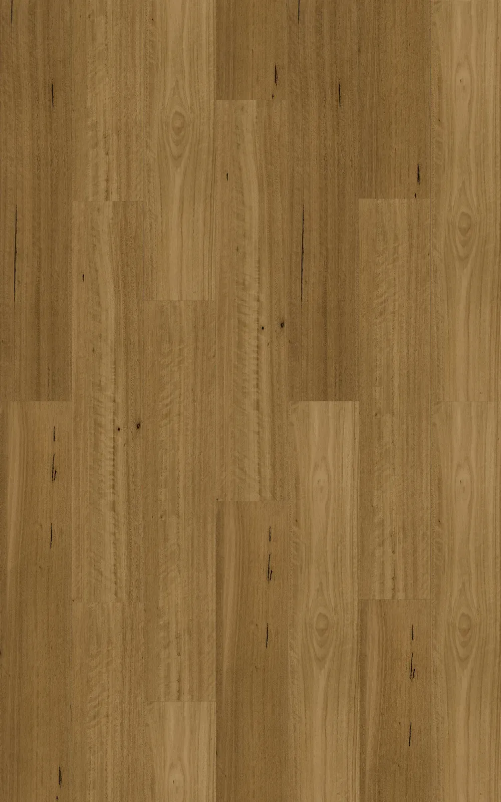 Southern Blackbutt Straight
