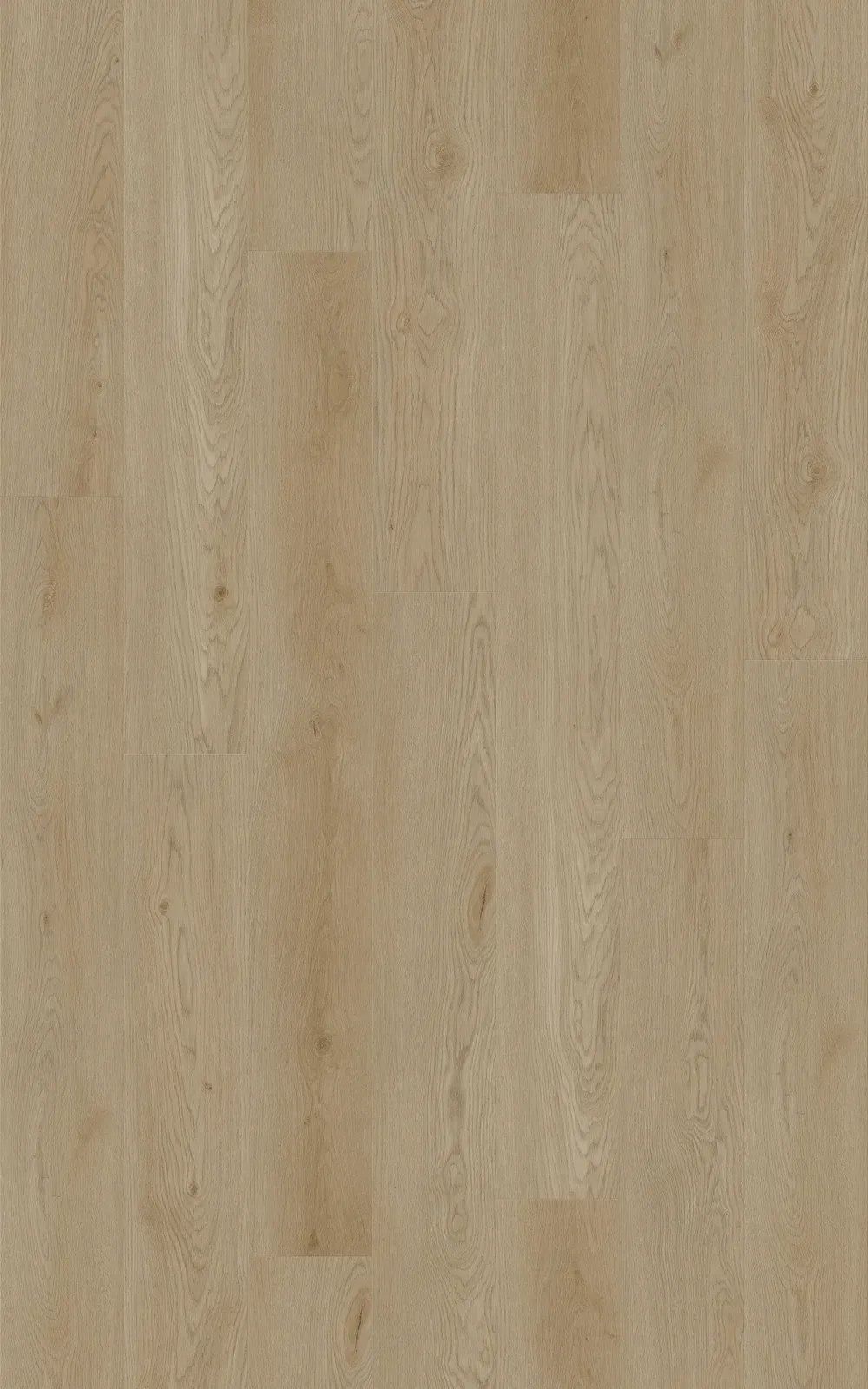 Steamed Oak Straight