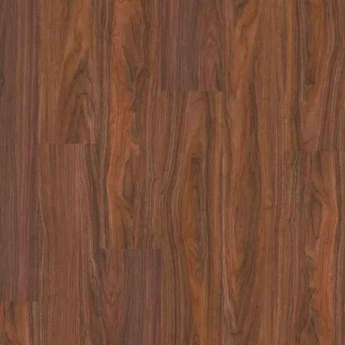 Tasmanian Myrtle Straight