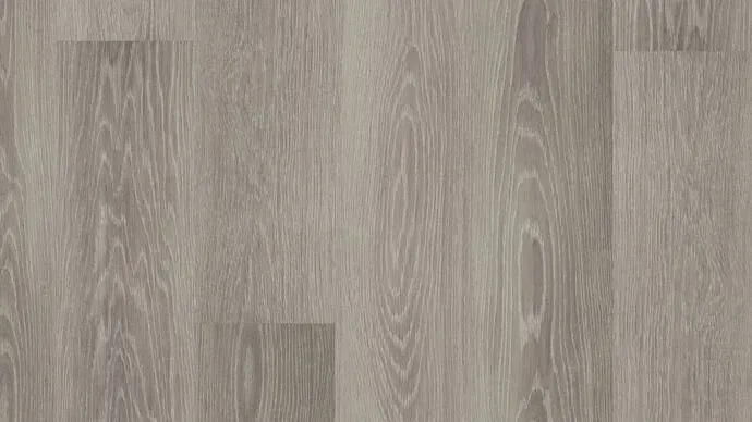 Silver Birch Straight