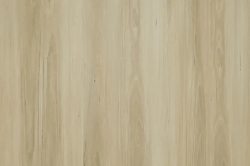 Burgundy Blackbutt