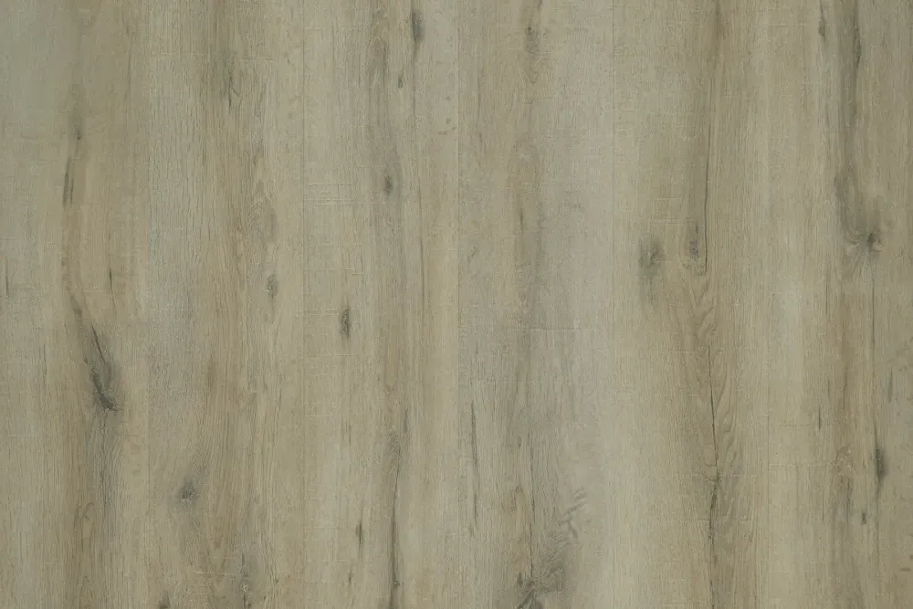 Warringal Oak