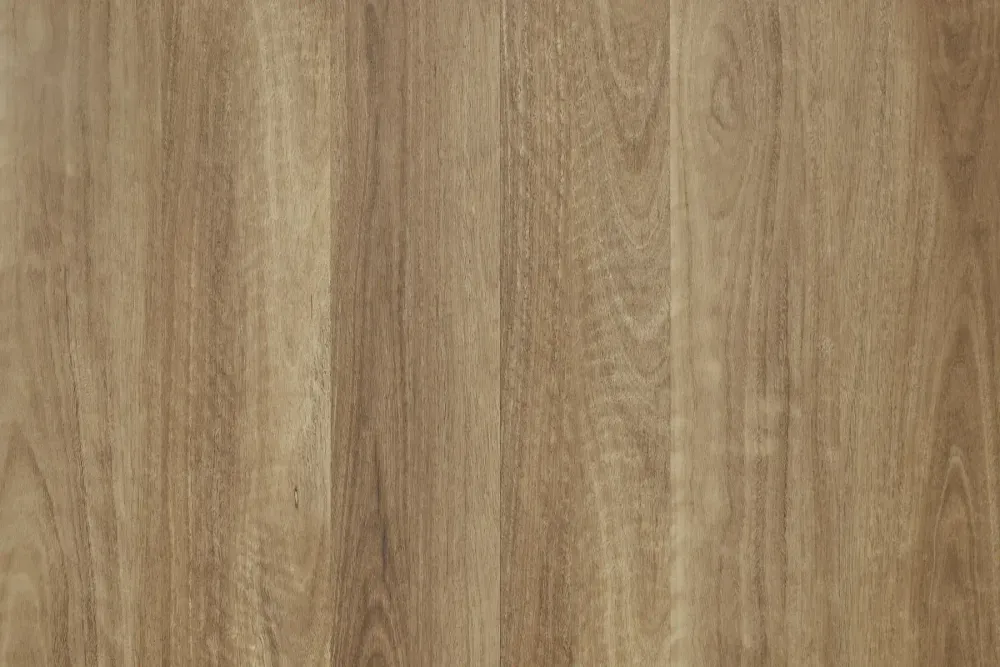 Yarra Spotted Gum